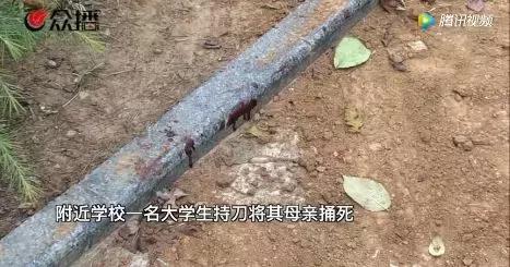 痛心两名学生抢救无效不幸身亡,大学生捅死陪读母亲原因