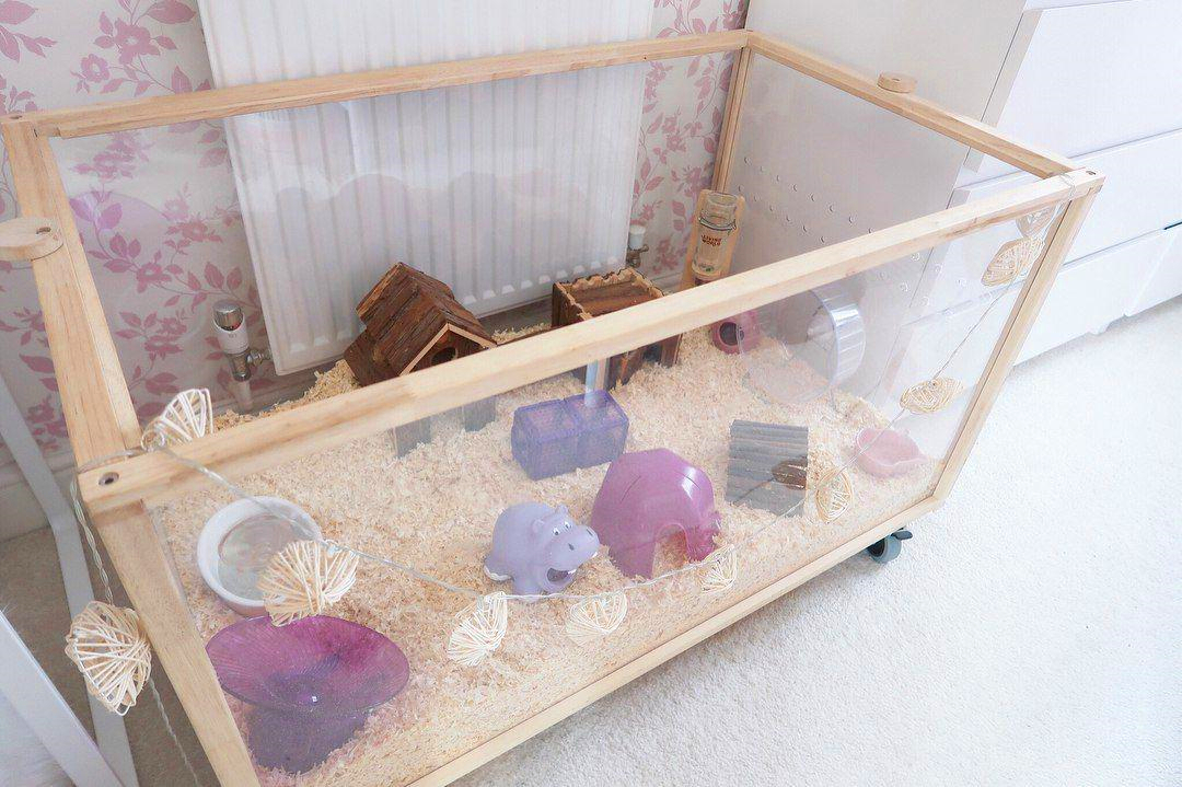 家用室内仓鼠笼怎么选好,什么样的仓鼠笼可以避免老鼠袭击