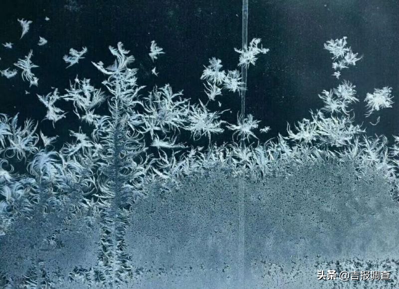 玻璃窗上的霜花像什么,玻璃上的霜花是什么样子