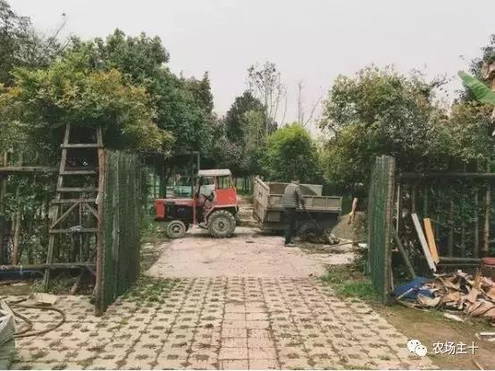 改造山野小院记录田园生活,花4万块钱改造的小院