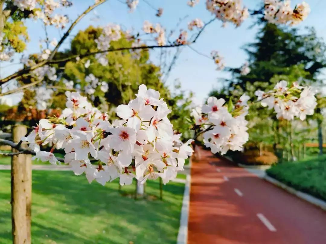 徐汇是啥,徐汇在哪里