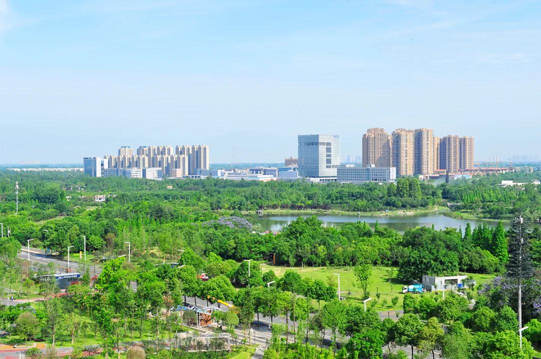 双流，我被你香醒了