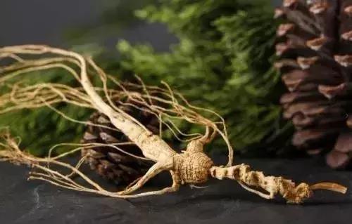 谁说农业不赚钱？这3个种植新法值得试一试，成本少收入高！