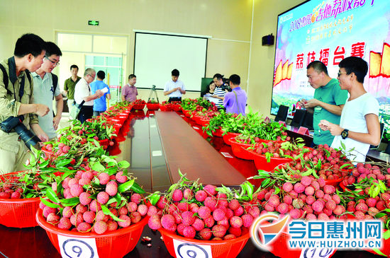 惠州镇隆荔枝珍品,2024年惠州镇隆荔枝近况