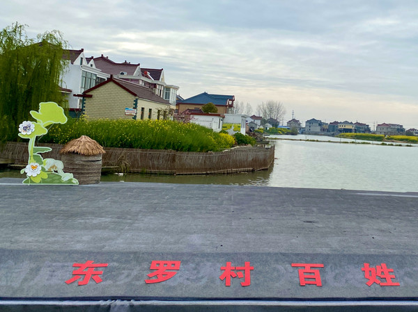 踏春赏花正当时，打卡千垛水上油菜花！玩转兴化景点美食全攻略