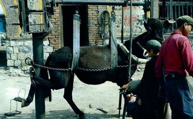 锦州义县的故事,锦州历史人文