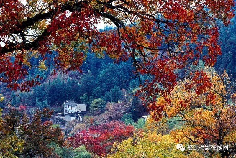10月下旬徽州摄影推荐,金秋皖南婺源摄影之旅