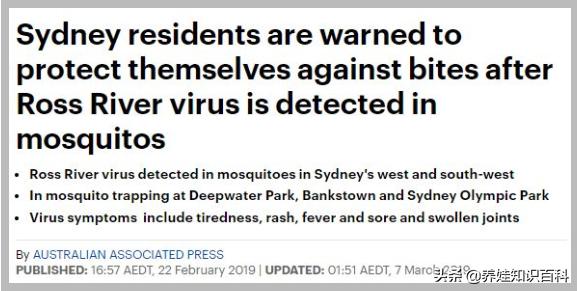 掌握这些驱蚊妙招，安全有效地呵护宝宝，让宝宝安然一夏