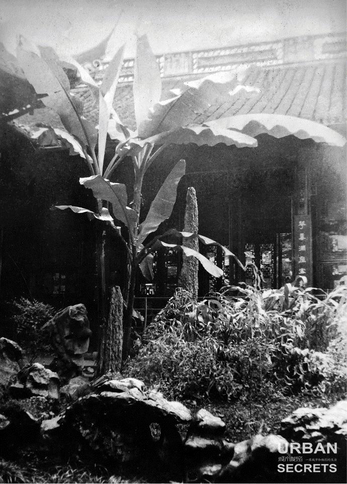 鏉窞瑗挎箹鍥涘ぇ瀹舵棌,鏉窞鍥涘ぇ鏈涙棌