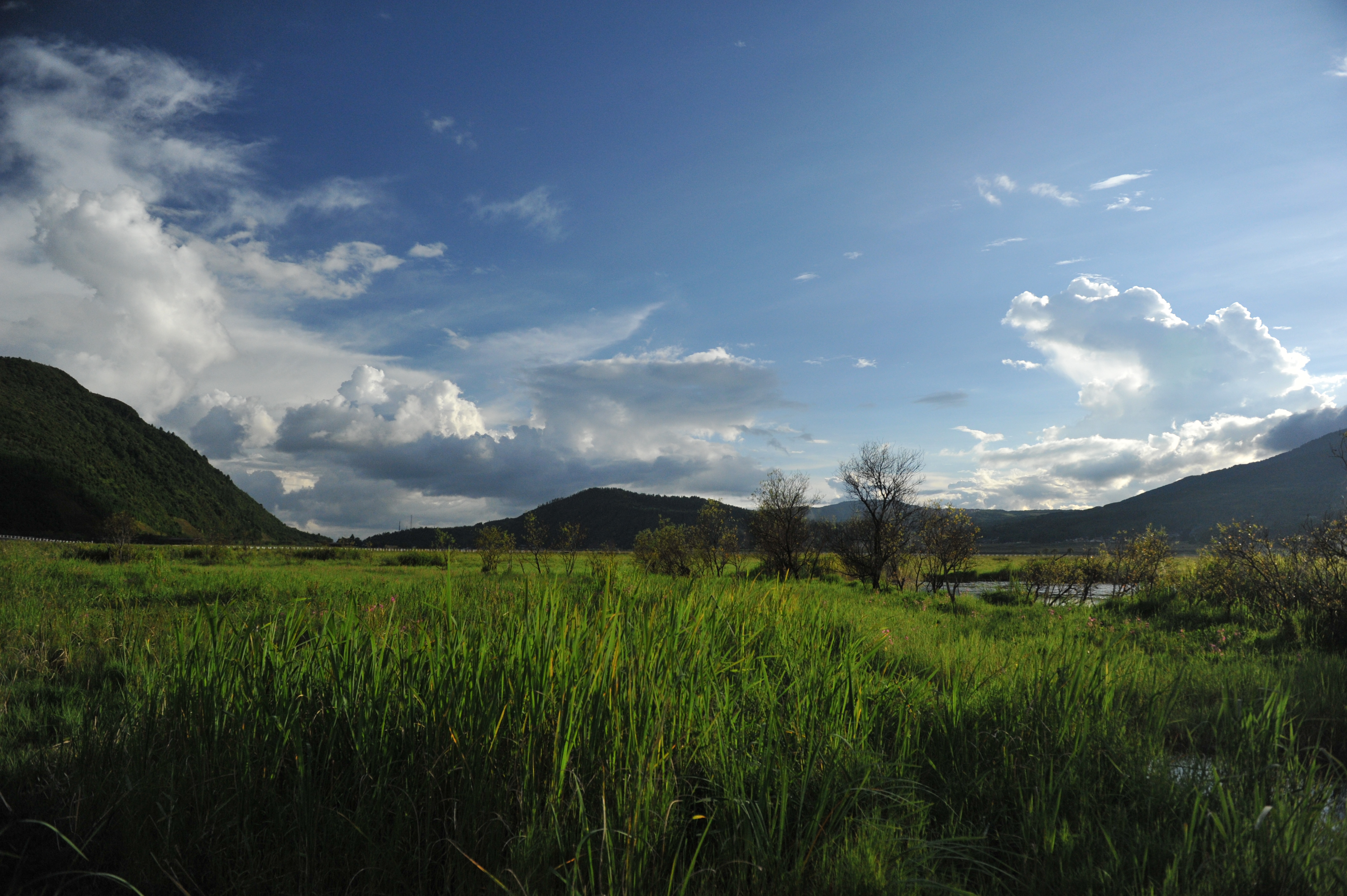 真实的神农架野人之谜,神农架最神秘传说