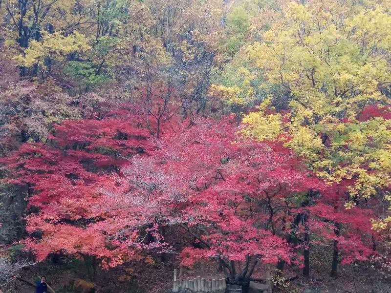 坚持的幸运,坚持奋斗幸福永远笑在最后