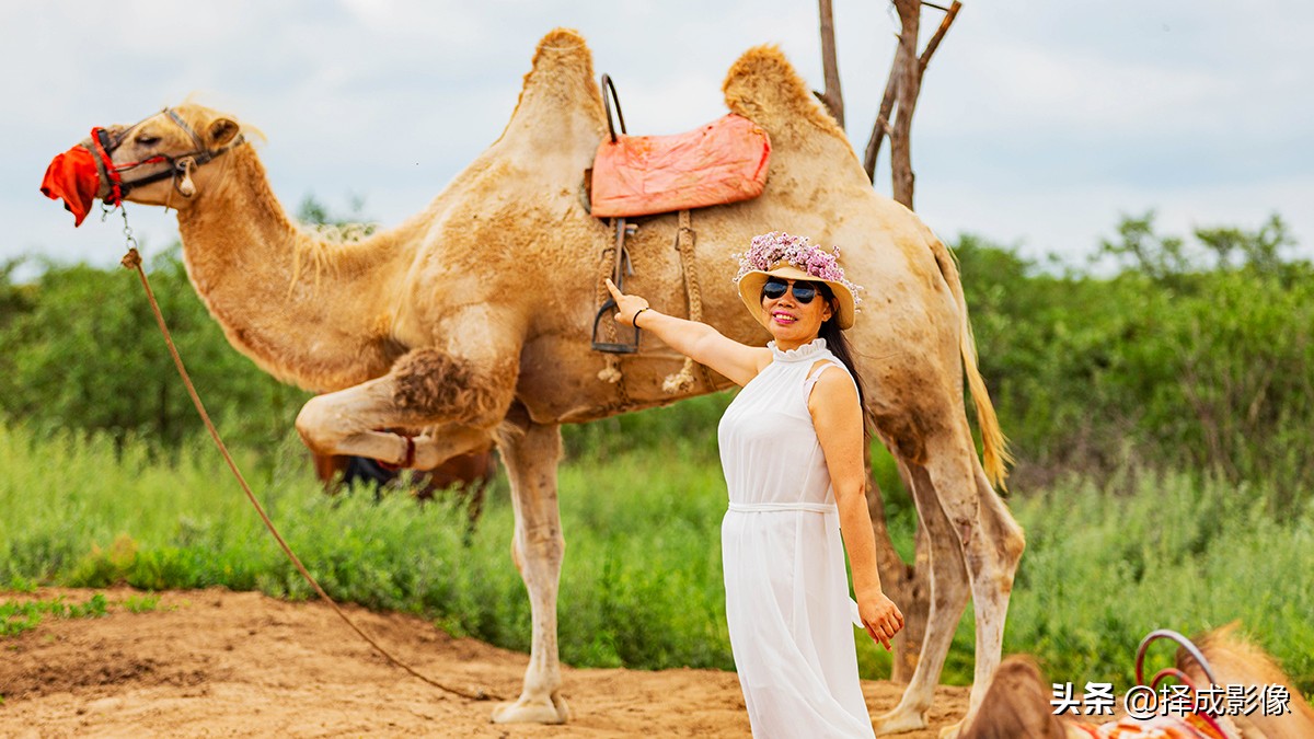 中国十大最美公路张北,张北草原天路路线图高清版大图