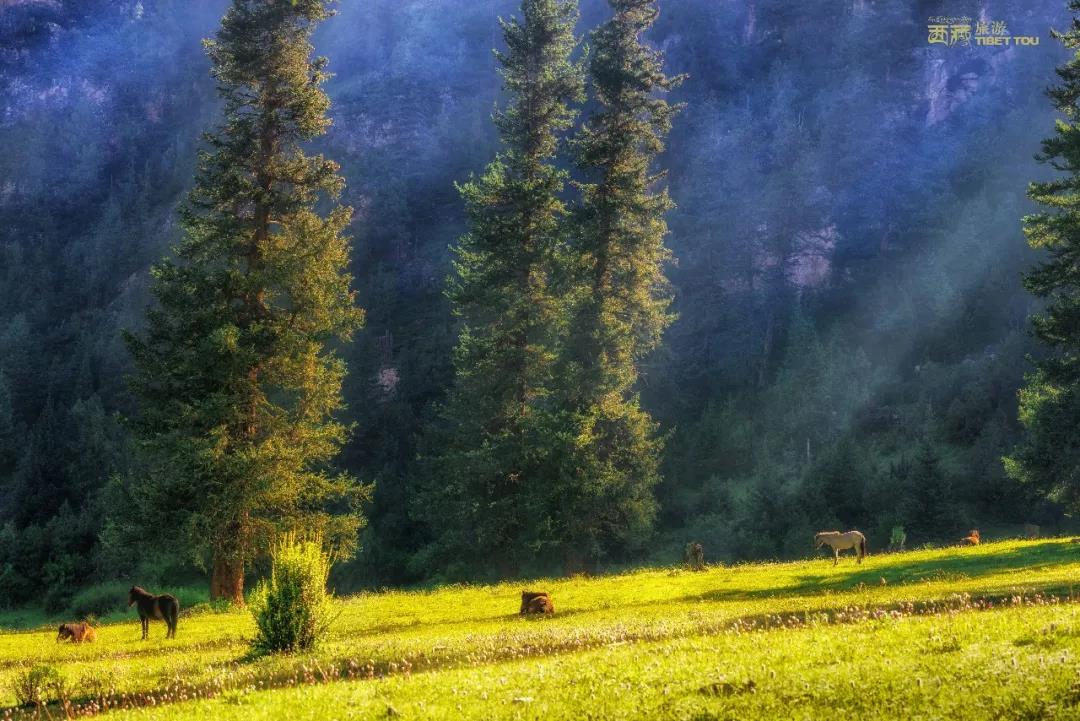 钘忎笢鏄庣彔鏄岄兘瑙嗛,鏄岄兘涓轰粈涔堝彨钘忎笢鏄庣彔