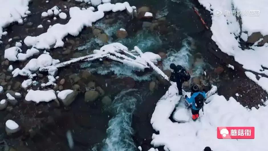 欧洲治安最好城市排名,欧洲环境治安都好的国家