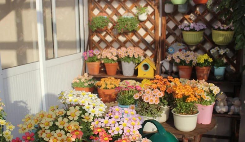 春日花草大全,冬日蔬菜花园