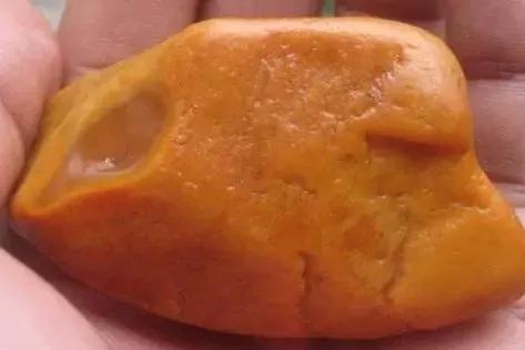 农民拿压菜石鉴宝视频,老年人带压菜石鉴宝原视频