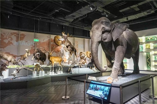 在成都生活如此的美好,在成都生活真好