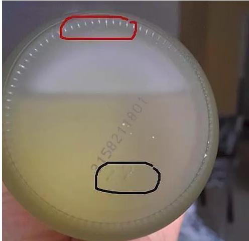 230ml神仙水外包装真假鉴别,你的神仙水是真的吗