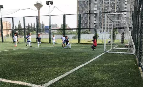 飞扬足球,飞扬足球预测