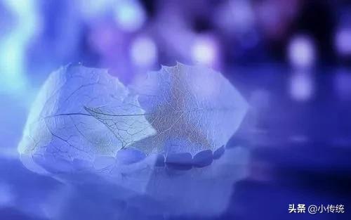 如何理解后天来龙先天立向,传统文化中的五大常识