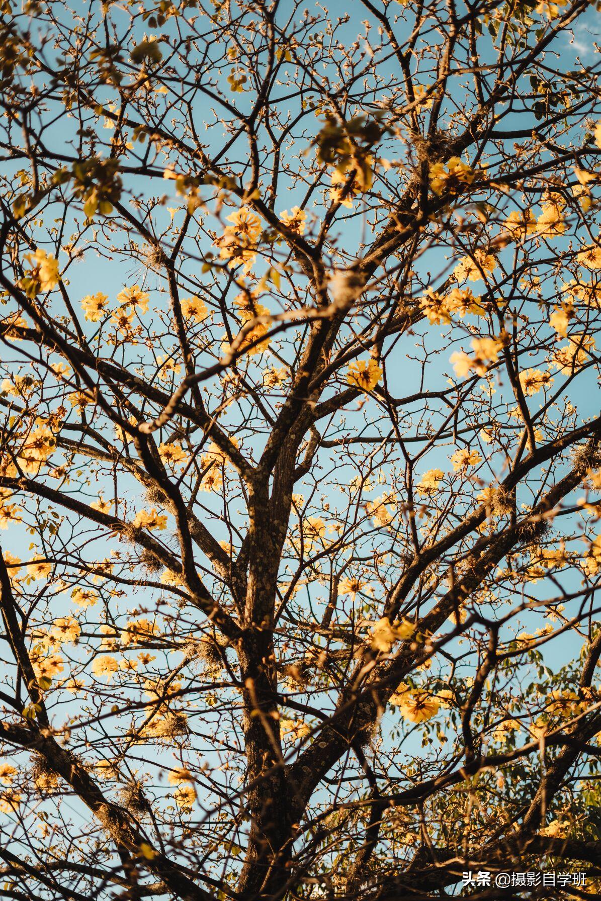 大师级色彩构图摄影,摄影色彩构图实例讲解