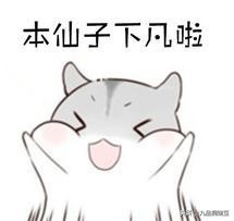 国外流行的中国潮品,最近很火的国潮单品