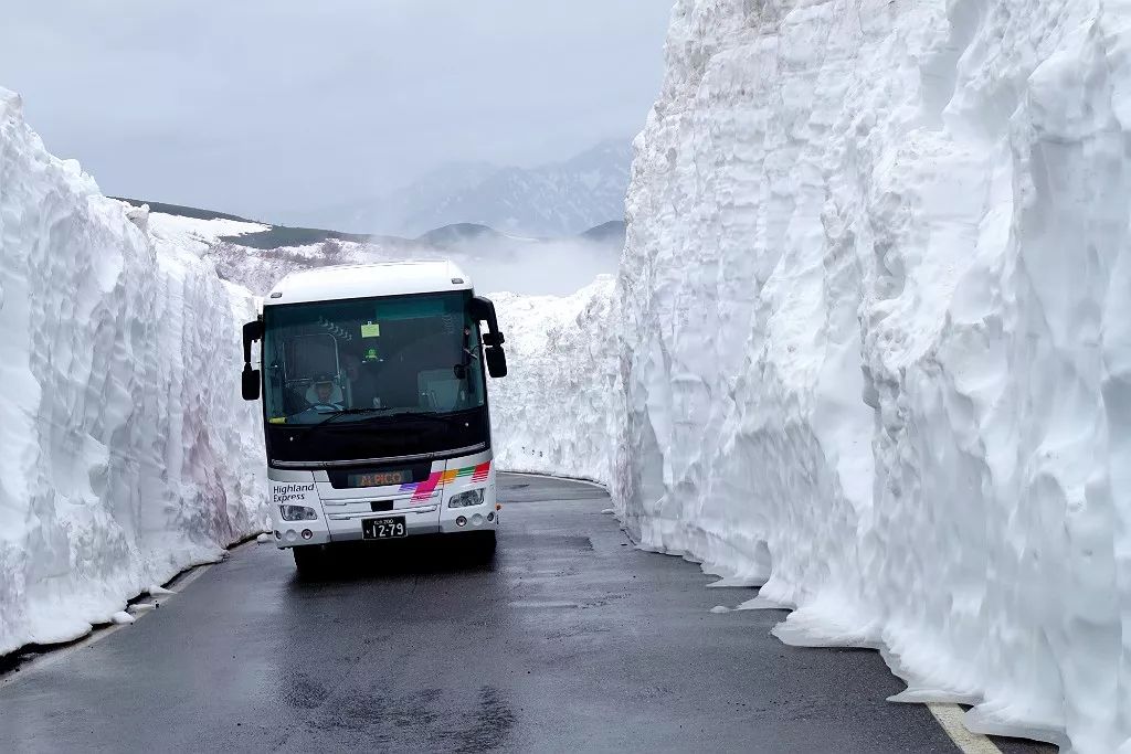 日本长野县旅行,日本长野赏樱旅游攻略