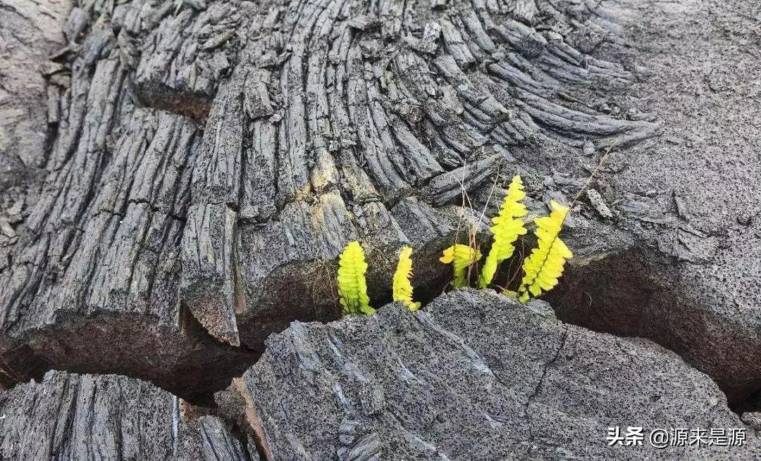 初创企业需要什么资源,初创公司需要做些什么