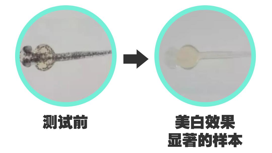 美白精华测红榜,所有美白精华测试