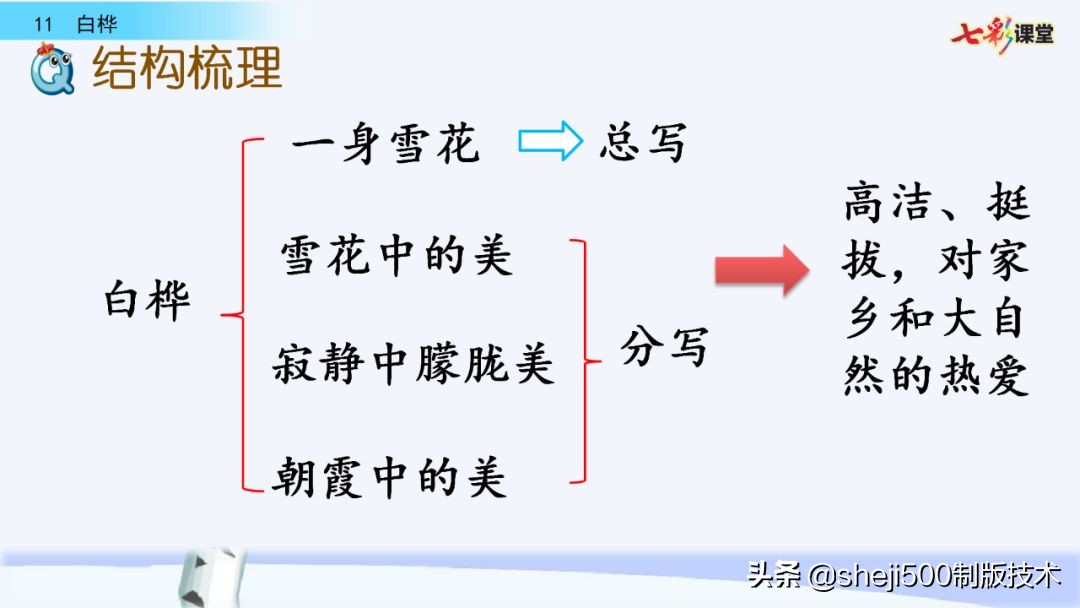 语文教科书四年级下册11课白桦,四年级语文书下册白桦讲解及预习