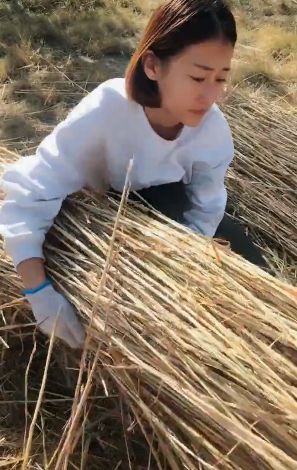90后美女白领“逃离”大城市回乡创业，用秸秆作画年收入过百万