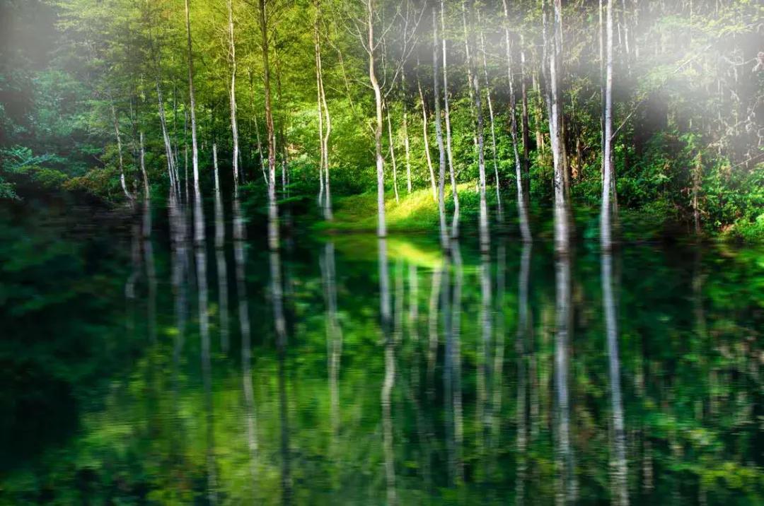 安徽最值得去的旅游目的地,这才是安徽值得打卡的十大旅行地