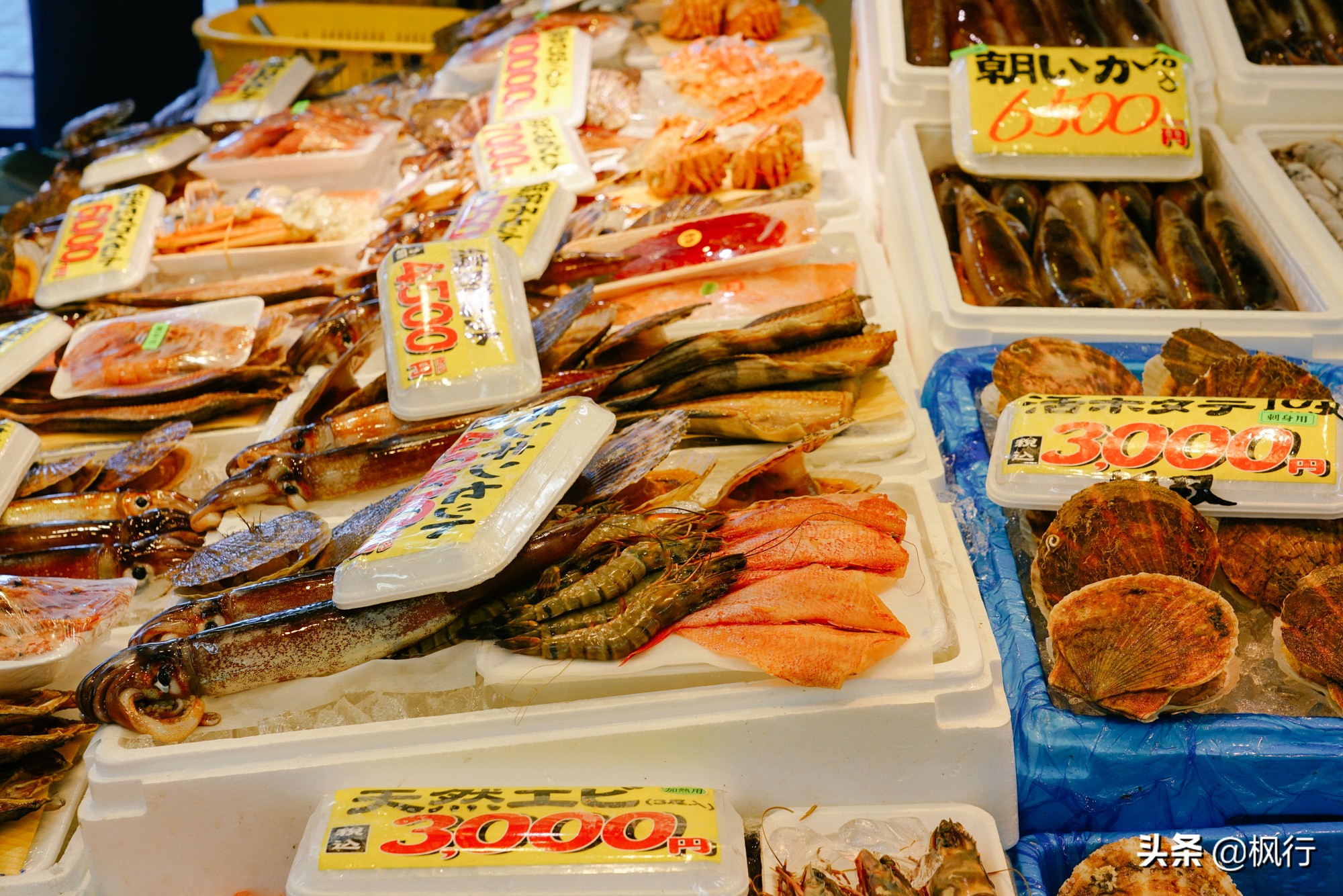 日本最正宗的海鲜市场,在日本吃海鲜的人