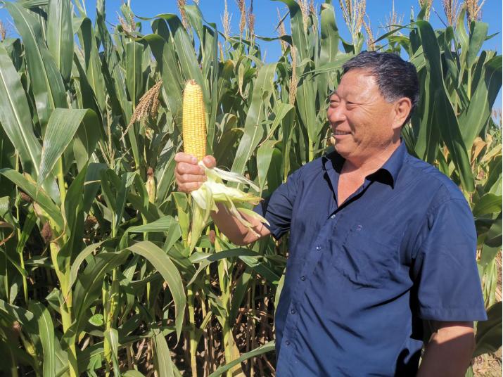 抓六稳促六保打好民生保障攻坚战,抓六保促六稳项目