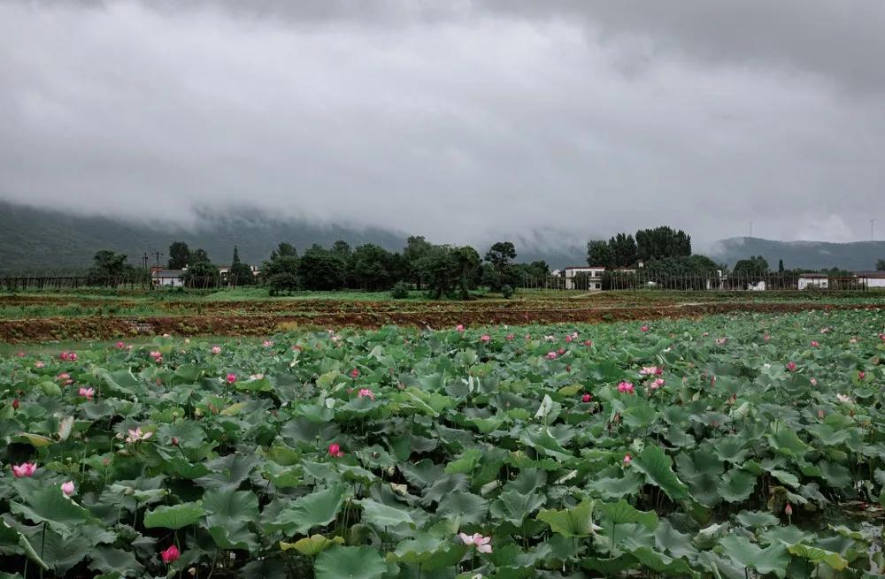 半汤温泉旅游攻略,半汤温泉养生度假区有哪些温泉