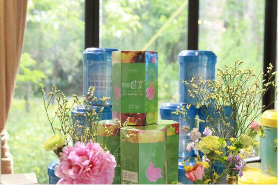 姿美堂跨界联盟,姿美堂和资生堂关系