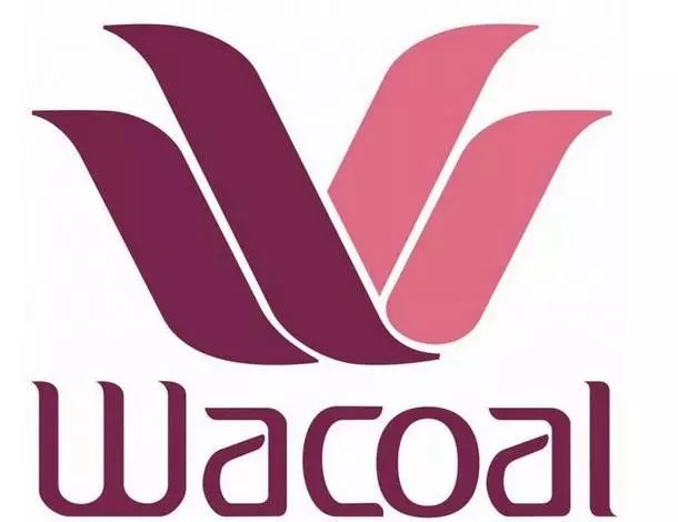 华歌尔吉祥物,绒言绒语吉祥物文化传播有限公司