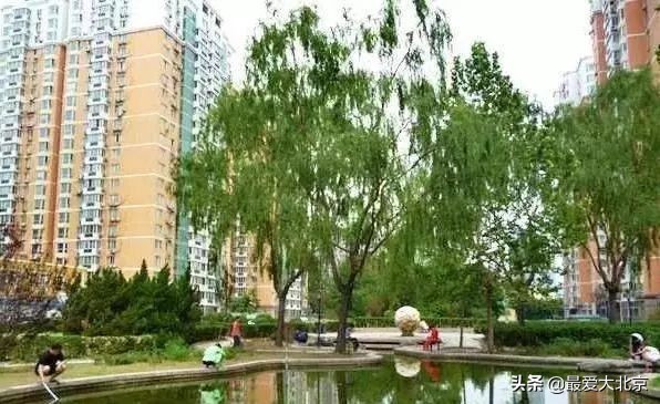 双井在干啥呢,双井现状