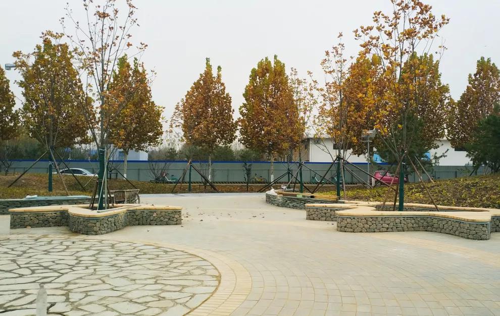 北京东小口城市休闲公园,北京四季公园美景