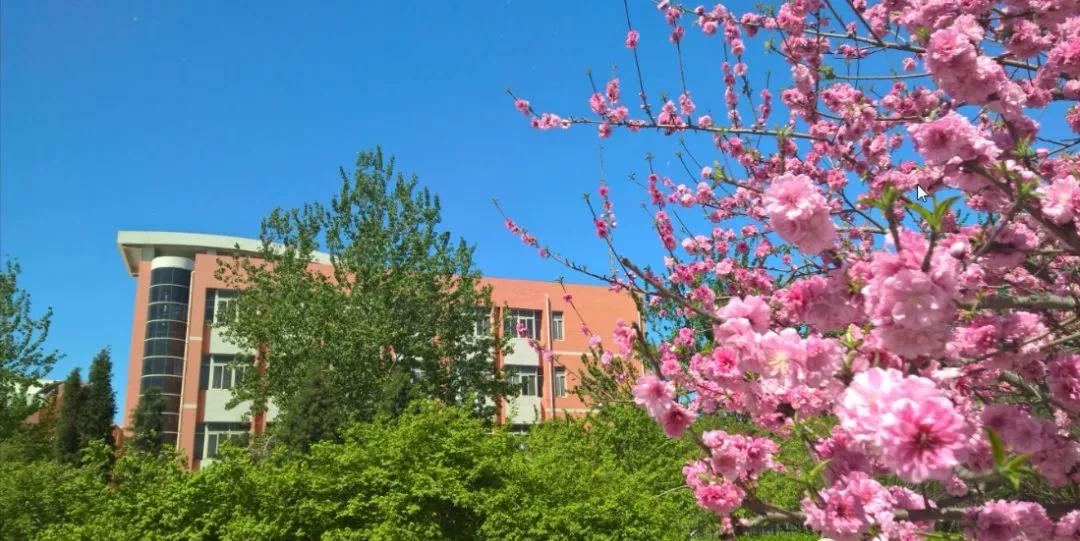 天津市普通高级中学,天津市瑞景中学前身天津师范学校