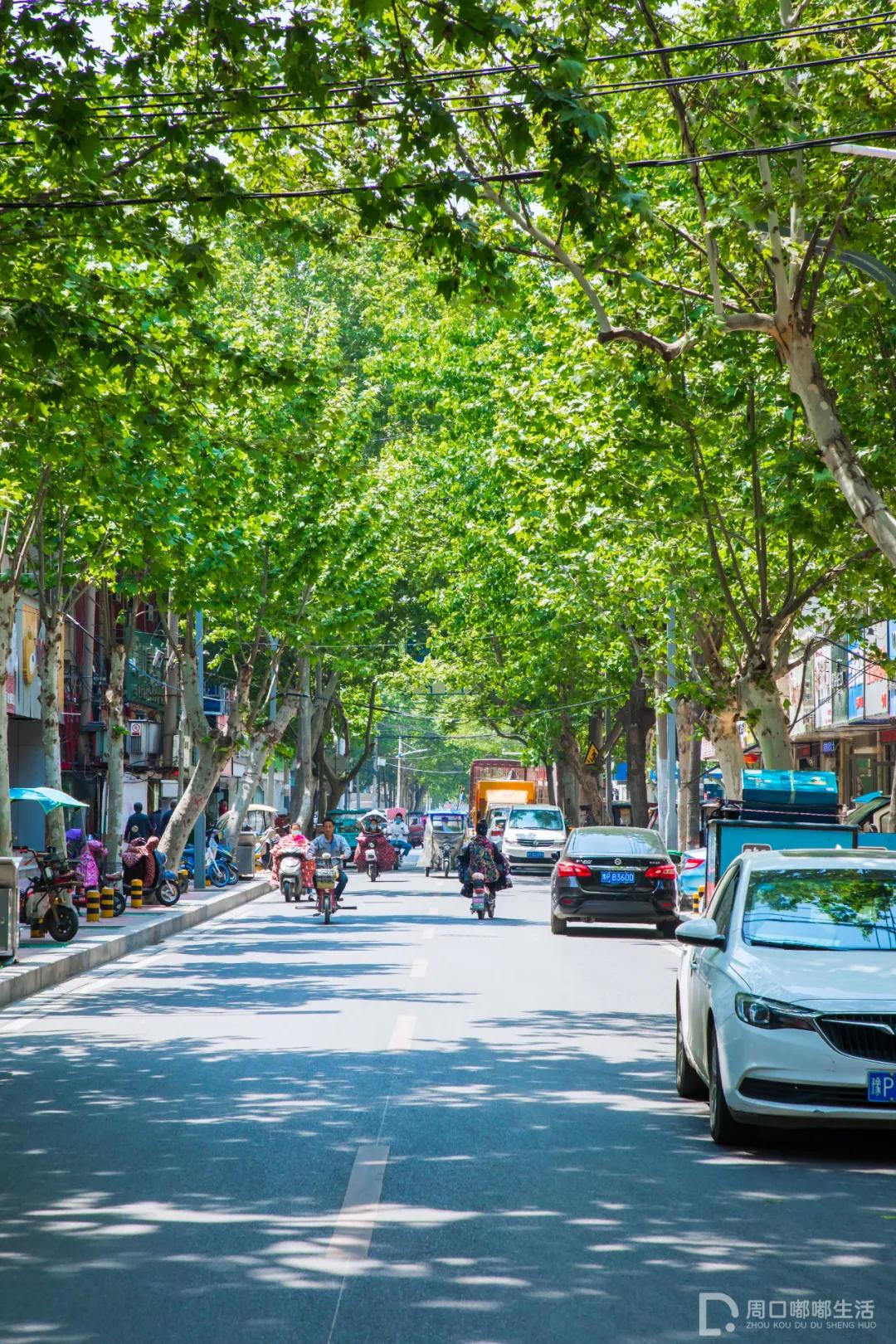 周口四中文具店,四中附近文具店周口市