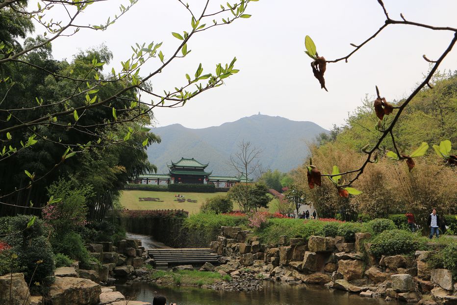 绵绵细雨江南雨,绵绵春雨雨中赏花
