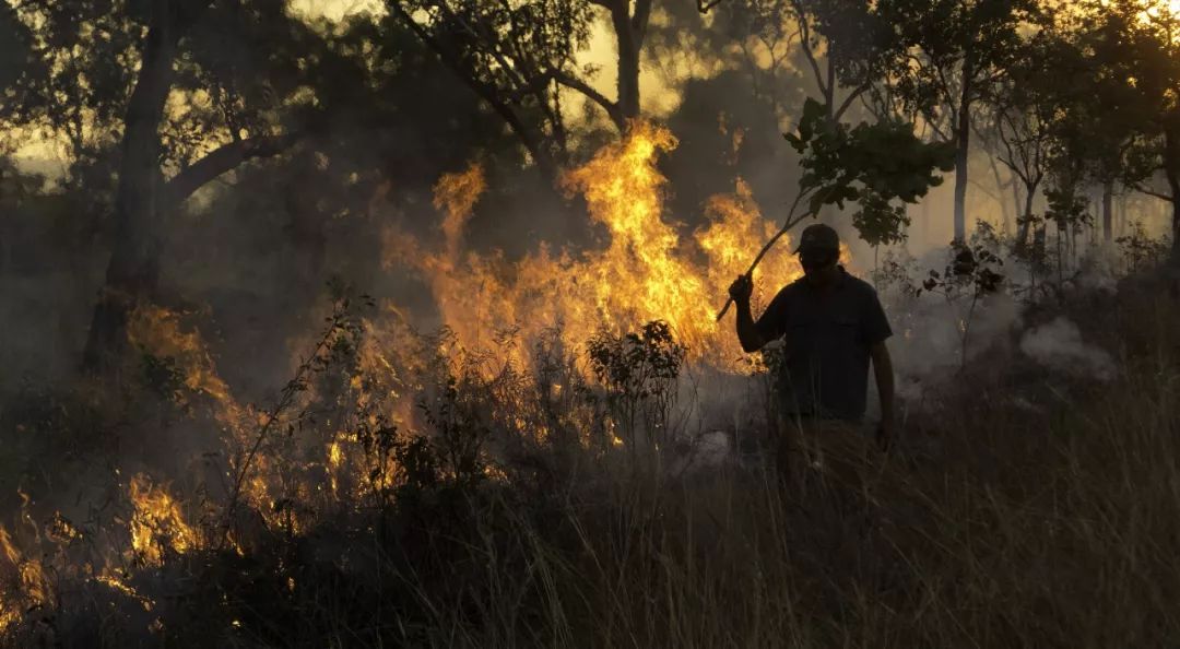 土著治疗者怎么打,土著方略