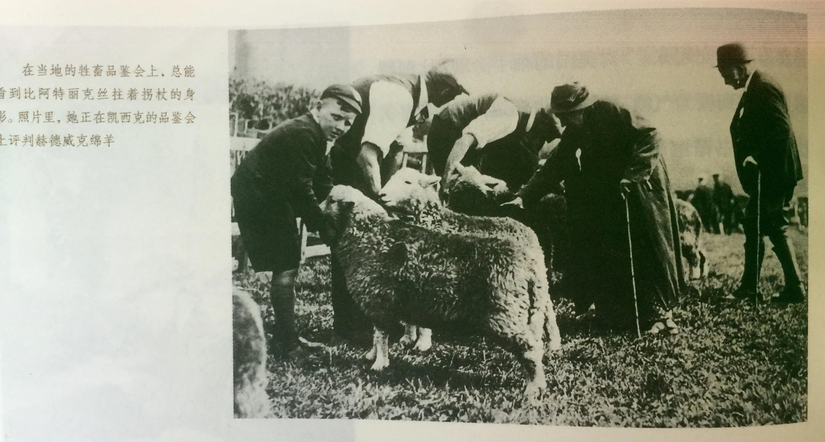 《永远的波特——彼得兔的妈妈》：揭晓彼得兔经久不衰的魅力所在