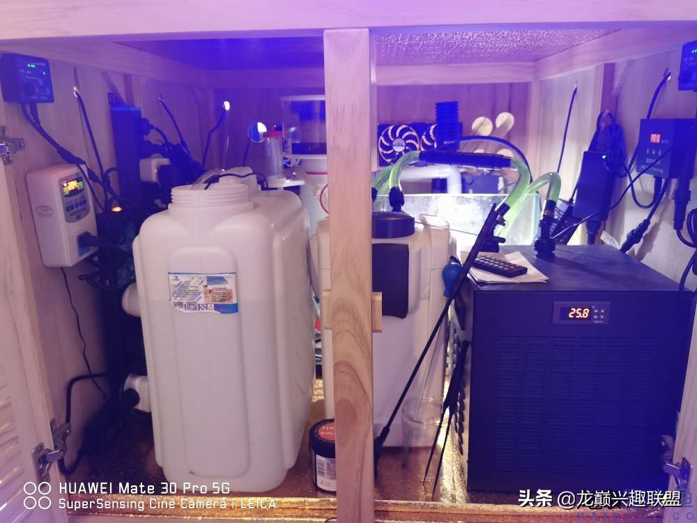 从零开始玩海缸的方法,从零开始玩海缸全过程