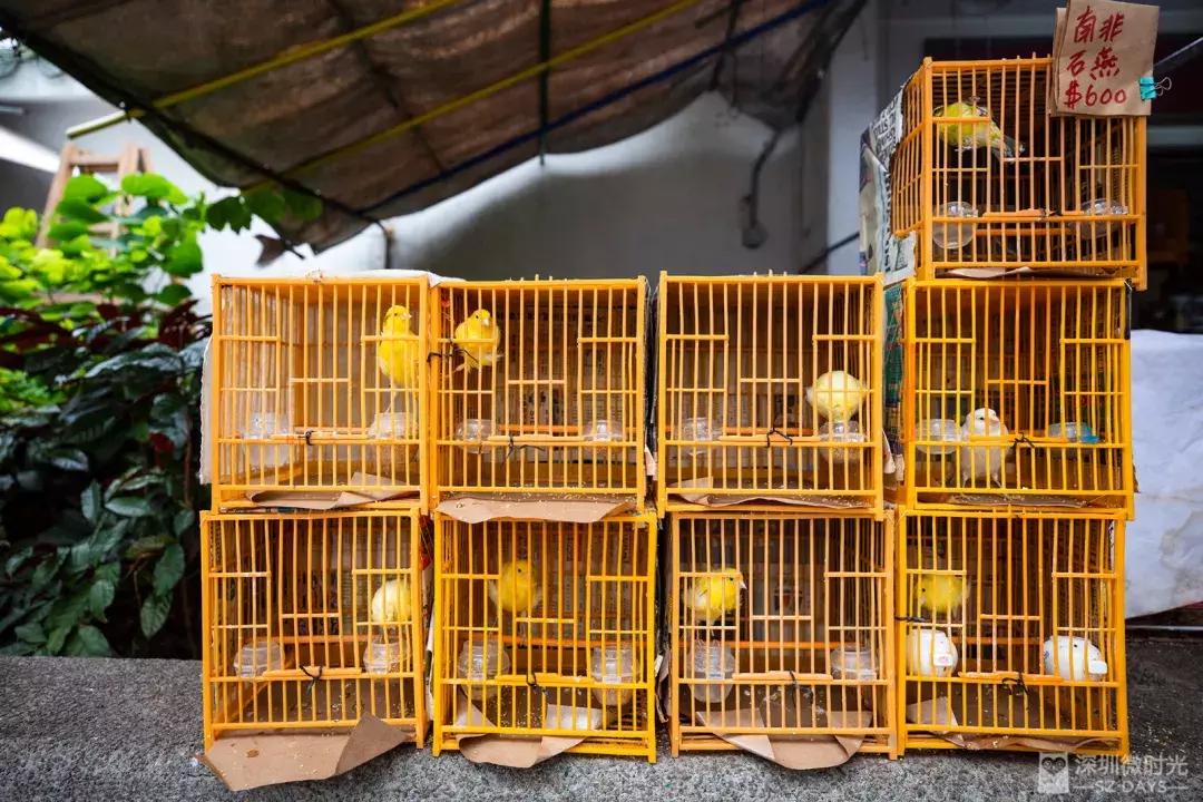 香港小众地点大全,香港最好逛的地方