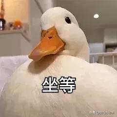 厦门软件园公交车,厦门软件园二期怎么乘公交车