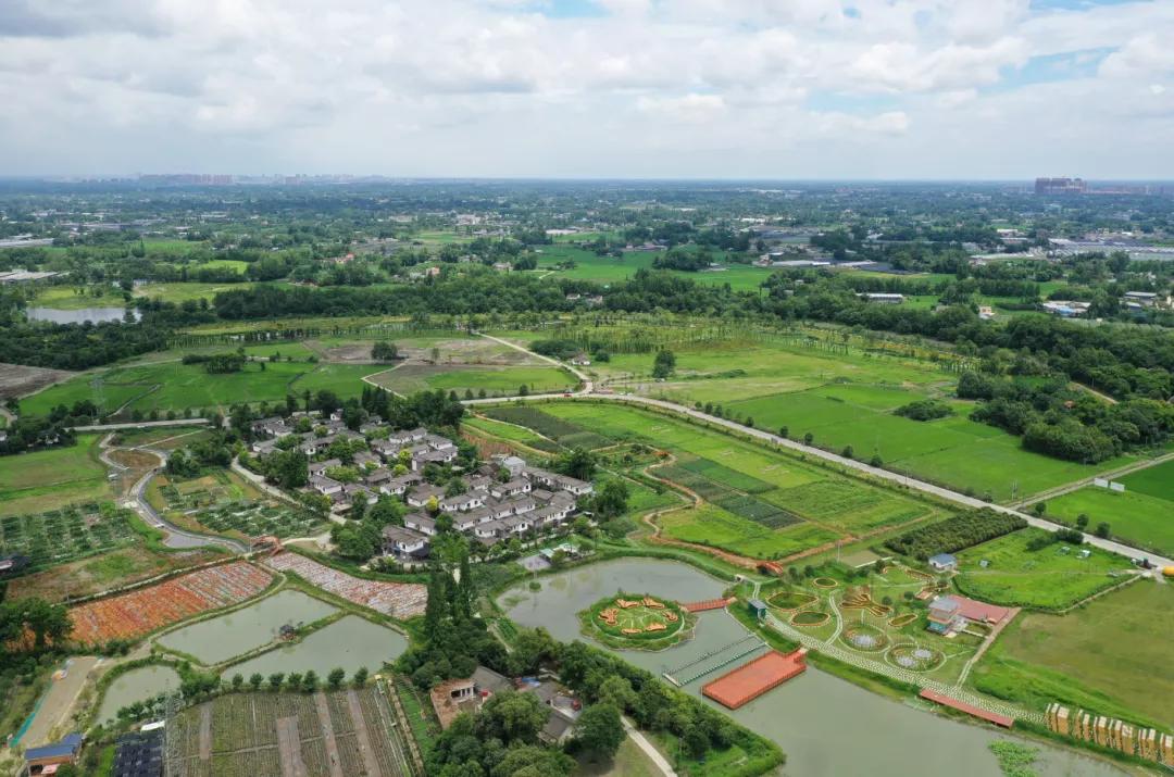 郫都区最好前三个镇排名榜,郫都区排行榜前十名