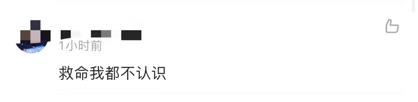 金大川雎晓雯婚后首同框,雎晓雯与金大川举办婚礼事件