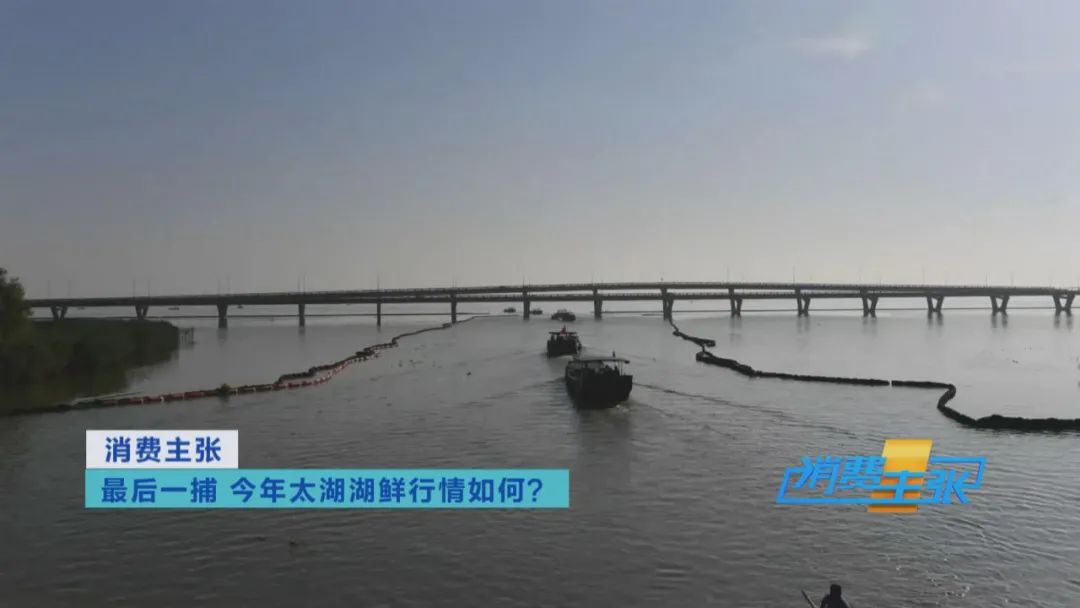 直击太湖开湖现场！鲜美湖鲜大量上市，资深吃货准备好了吗？